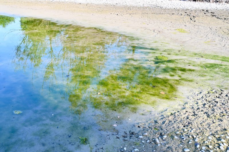 Isušeno jezero Bundek