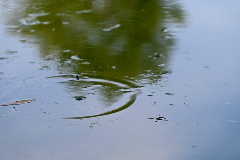 Isušeno jezero Bundek