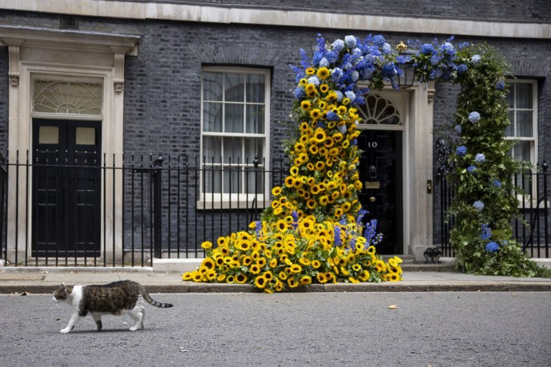 Dan neovinosti Ukrajine u Londonu