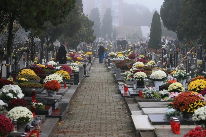 Groblje Osijek (7)