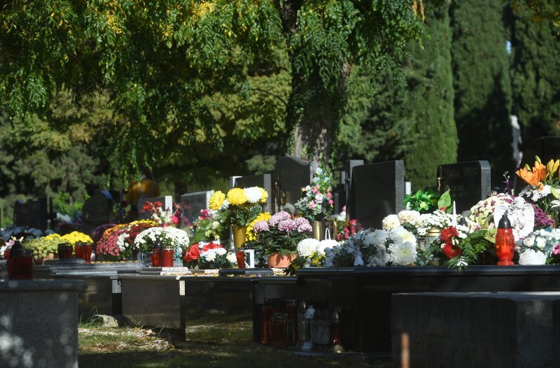 Svi Sveti u Zadru (14)