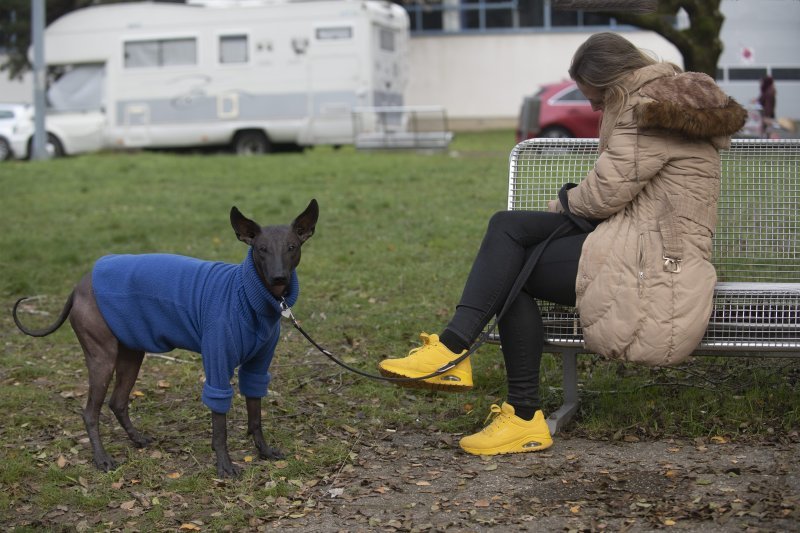 Međunarodna izložba pasa CACIB Zagreb