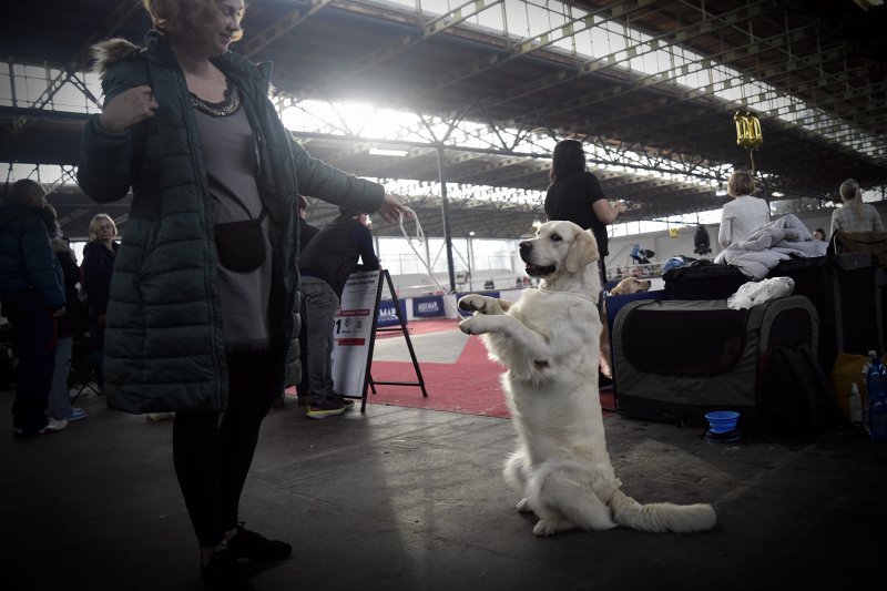 Međunarodna izložba pasa CACIB Zagreb