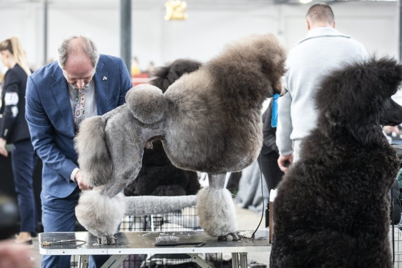 Međunarodna izložba pasa CACIB Zagreb