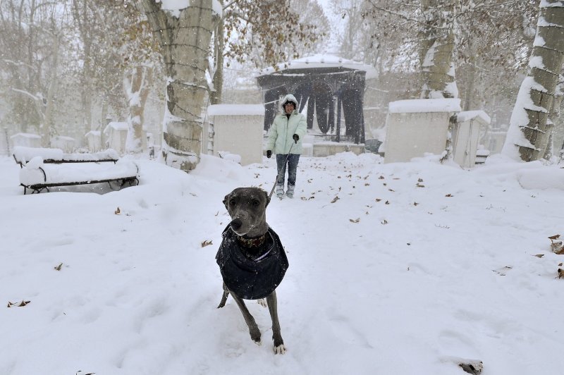 Snijeg u Zagrebu 2012. godine