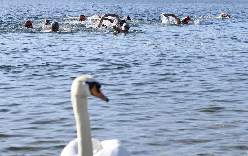 Kupači na Jarunu