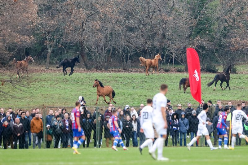 Hajduk - Slovacko