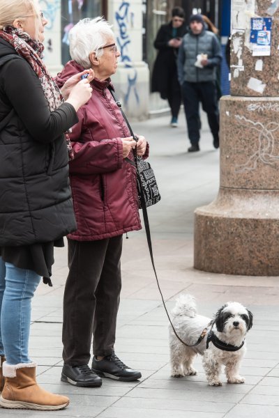 Subotnja špica s ljubimcima