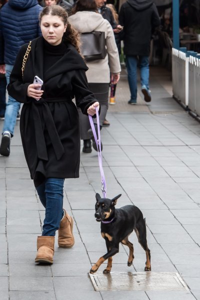 Subotnja špica s ljubimcima