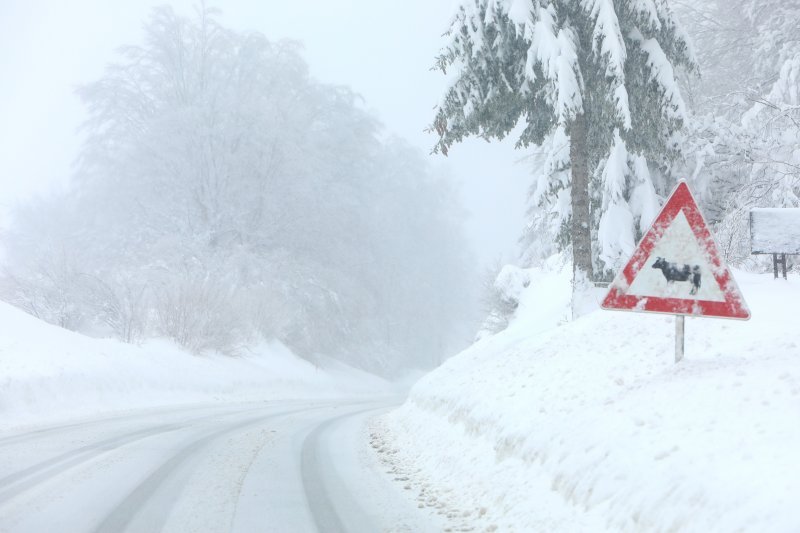 Novi snijeg kod Plitvičkih jezera