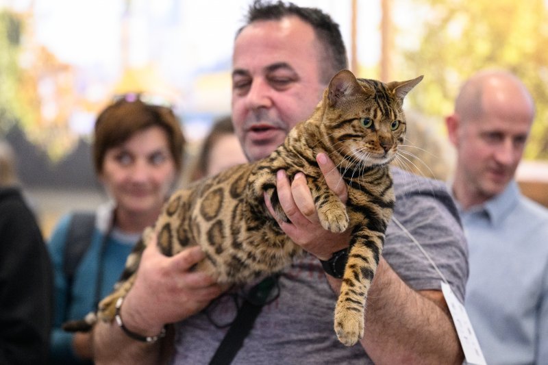 Međunarodna izložba mačaka u Zagrebu