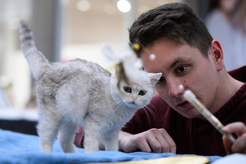 Međunarodna izložba mačaka u Zagrebu