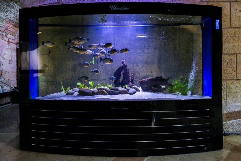 Obnovljeni pulski Aquarium