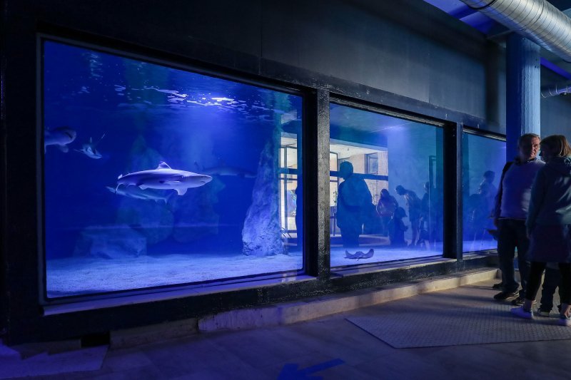 Obnovljeni pulski Aquarium