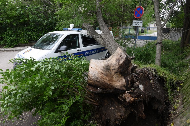Šibenik: Jak vjetar srušio veliko drvo i razbio policijski kombi