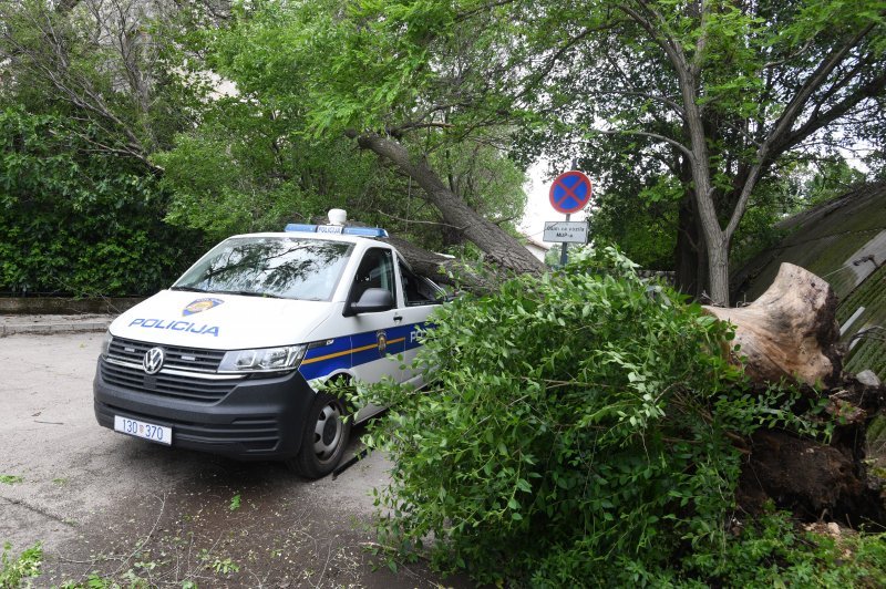 Šibenik: Jak vjetar srušio veliko drvo i razbio policijski kombi