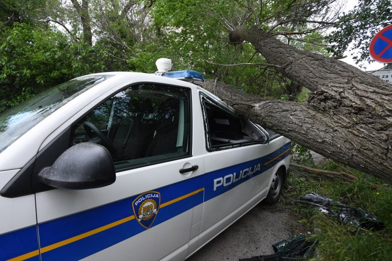 Šibenik: Jak vjetar srušio veliko drvo i razbio policijski kombi