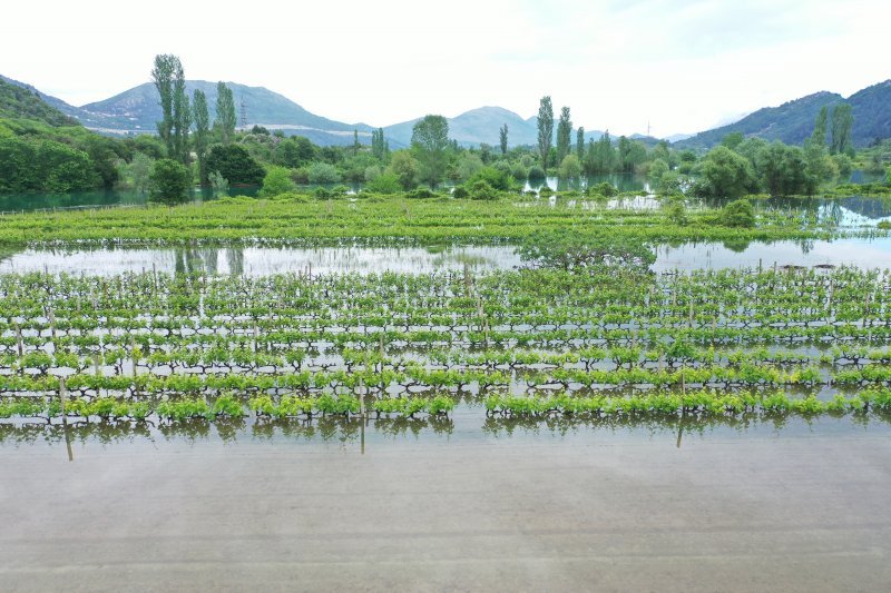 Fotografije iz zraka poplavljenih polja na vrgoračkom području