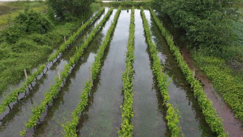 Fotografije iz zraka poplavljenih polja na vrgoračkom području