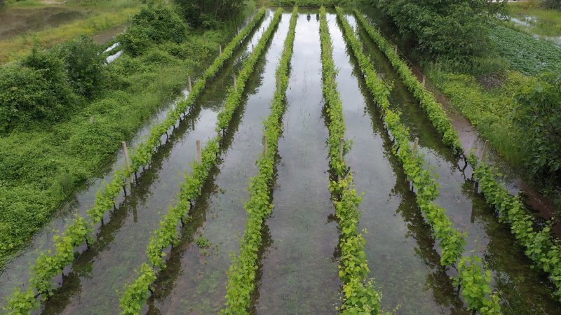 Fotografije iz zraka poplavljenih polja na vrgoračkom području