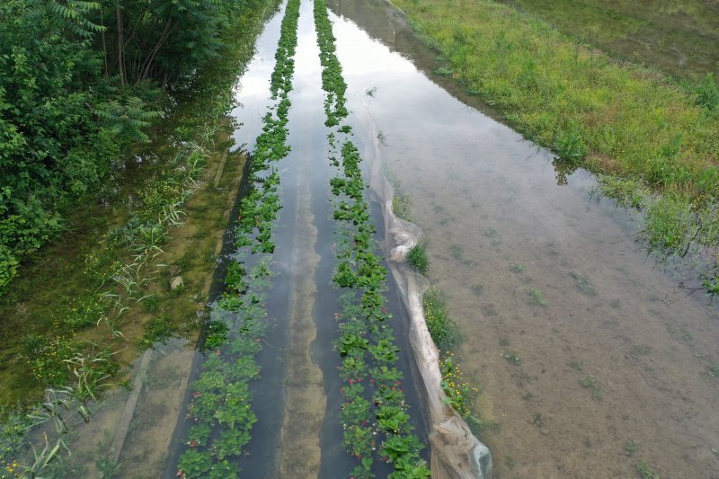 Fotografije iz zraka poplavljenih polja na vrgoračkom području