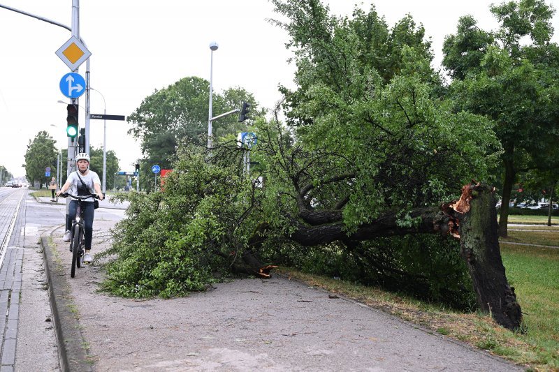 Zagreb dan nakon nevremena sanira štetu