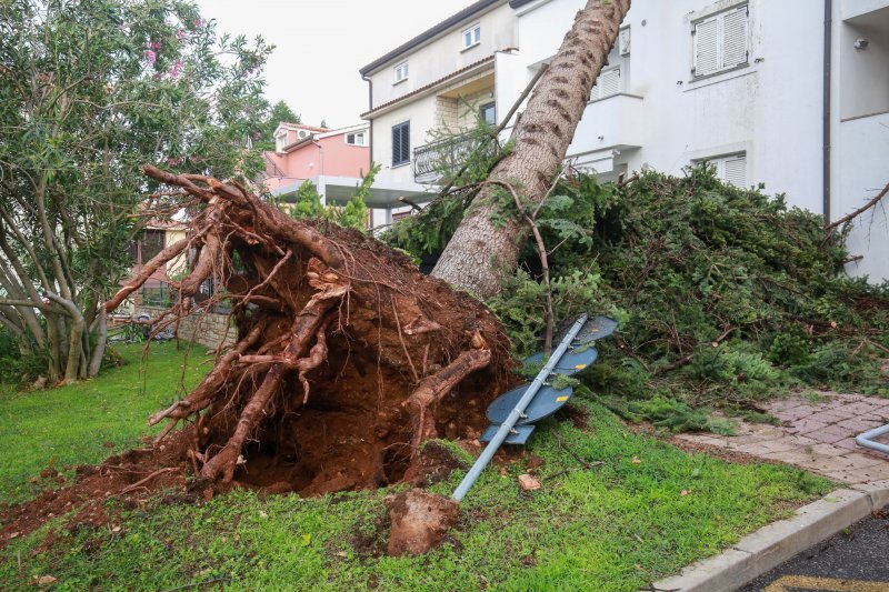 Jak vjetar popraćen obilnom kišom poharao Novigrad i okolicu