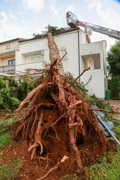 Jak vjetar popraćen obilnom kišom poharao Novigrad i okolicu