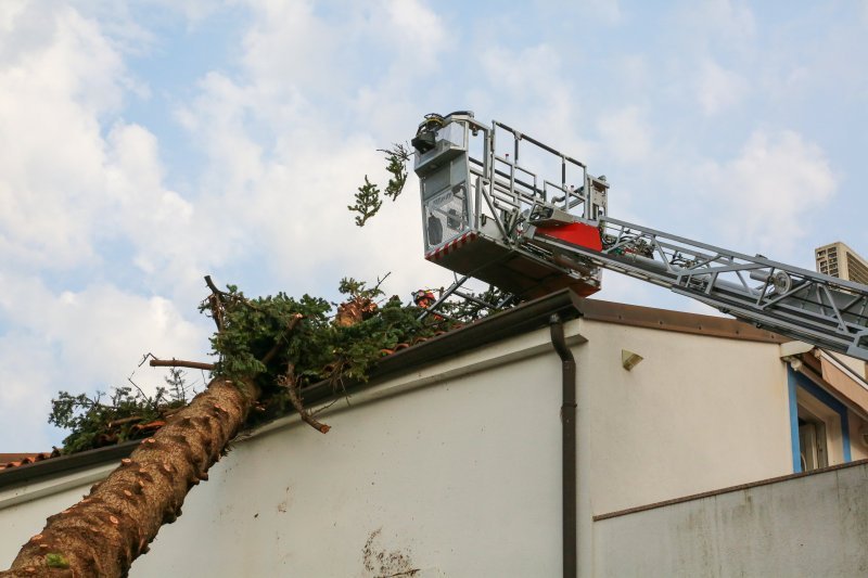 Jak vjetar popraćen obilnom kišom poharao Novigrad i okolicu