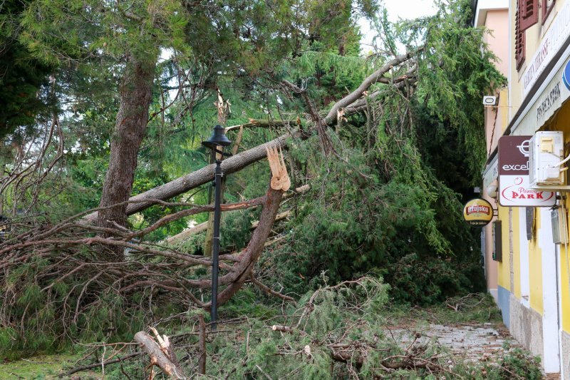 Jak vjetar popraćen obilnom kišom poharao Novigrad i okolicu