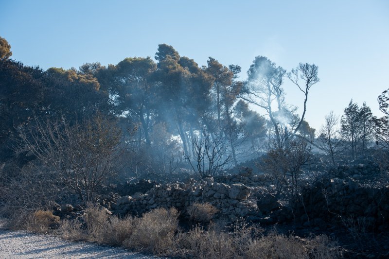 Posljedice velikog požara na Čiovu