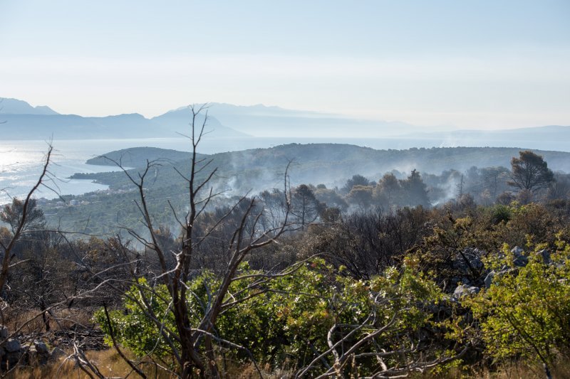 Posljedice velikog požara na Čiovu