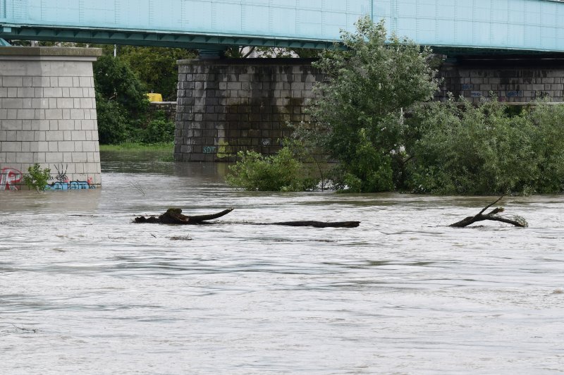 Rijeka Sava se izlila iz svog korita