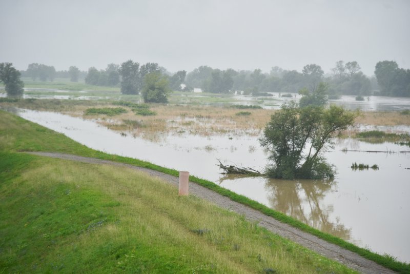 Sava poplavila nasip ispod Domovinskog mosta