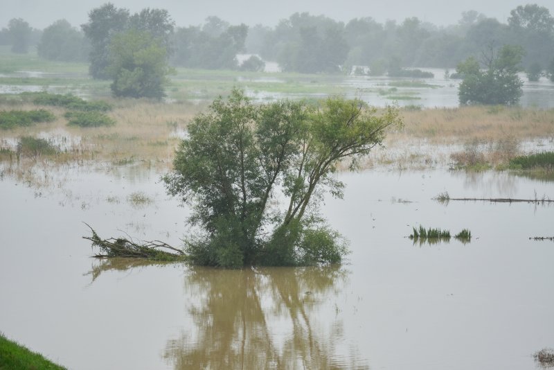 Sava poplavila nasip ispod Domovinskog mosta