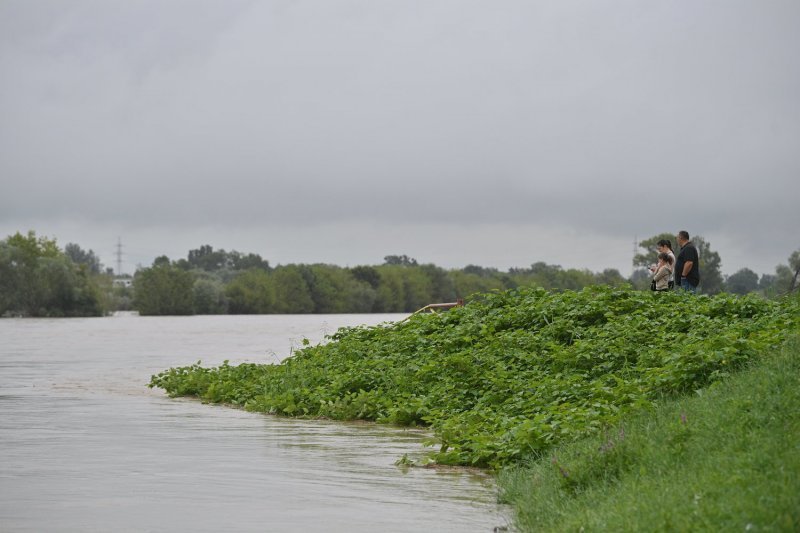 Sava u Zagrebu