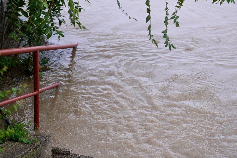 Sava u Zagrebu