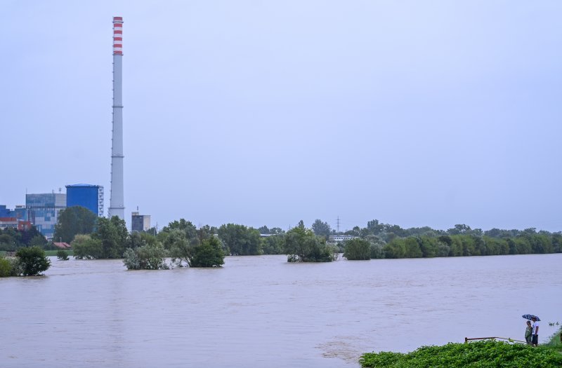 Sava u Zagrebu