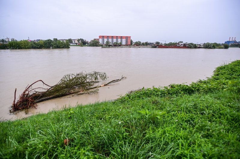 Sava u Zagrebu