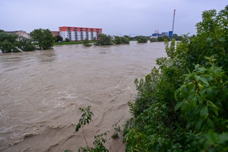 Sava u Zagrebu