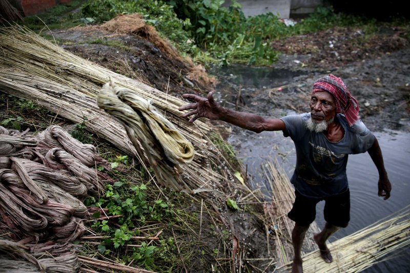 Indijski farmer Samsur Mondal skida vrpce od jute u jezeru u selu Nahata u istočnoj indijskoj pokrajini Zapadni Bengal. Sezona monsuna dobra za žetvu jute, a Zapadni Bengal uzgaja više od 75 posto jute koju Indija proizvodi.
