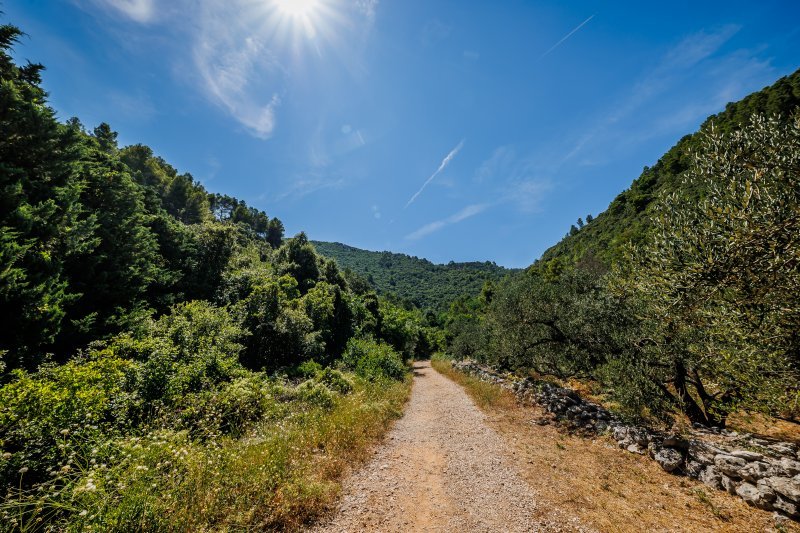 Uvala Samograd na otoku Korčuli