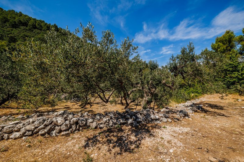 Uvala Samograd na otoku Korčuli