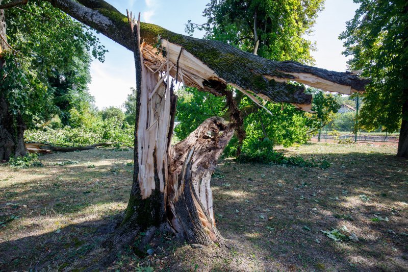 Oluja u Orahovici napravila manju štetu