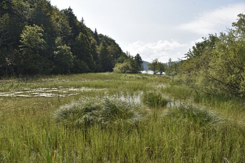 Plitvička jezera