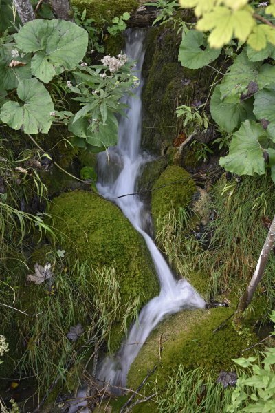 Plitvička jezera