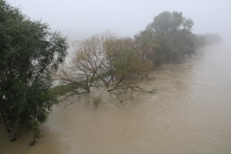 Sava se u Zagrebu izlila iz korita