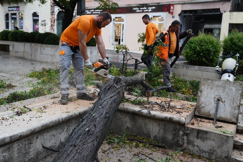 Šibenik: Olujno jugo srušilo stablo na betonski stup rasvjete koji se u potpunosti raspao