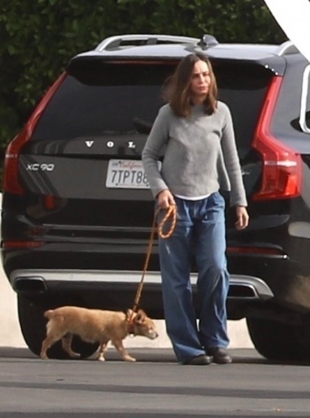 Harrison Ford i Calista Flockhart