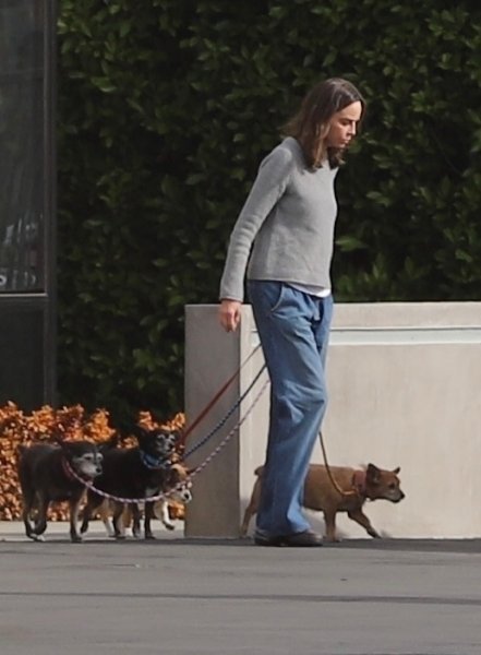 Harrison Ford i Calista Flockhart